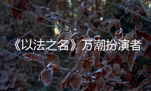 王俊《以法之名》该剧里