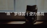 “珠”梦绿茵｜全力备战省中运会，珠海足球少年逐梦绿茵场