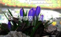 “珠”梦绿茵！面向全珠海，征集足球相关作品！