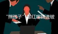 “熊孩子”塞红嘴鸥进玻璃瓶�，护鸥队	：抓鸥虐鸥有，但比以前少