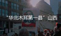 “华北木耳第一县”山西中阳
：黑木耳成“富民恒业”