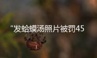 “发蛤蟆汤照片被罚45万”后续：餐馆老板已提起行政诉讼