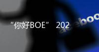 “你好BOE” 2025首站！超酷现场等你来看