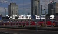 快排公司十年历程，霸屏兔 seo 的崛起与坚守