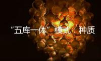 “五库一体”模式：种质资源保存的创新之举