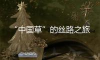 “中国草”的丝路之旅
