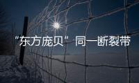 快排公司十年历程，霸屏兔 seo 的崛起与坚守