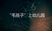 “毛孩子”上幼儿园