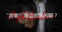 “游客”海边赏景闲聊
？可能是间谍乔装刺探军情