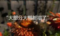 “大部分大棚都塌了”	
，湖北农业冻雨后迎大考