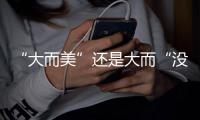 “大而美”还是大而“没”
？