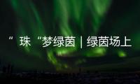 ”珠“梦绿茵｜绿茵场上向阳花开！