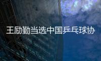 王励勤当选中国乒乓球协会新任主席
