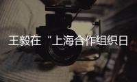 王毅在“上海合作组织日”招待会上发表视频致辞