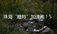 珠海“瞪羚”加速跑！57家企业上榜，新一代信息技术“领衔”