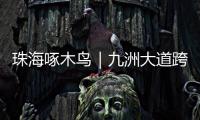 珠海啄木鸟｜九洲大道跨白石路桥路段已整改！新增“均可直行 请勿停留”路牌