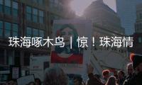 珠海啄木鸟｜惊！珠海情侣南路附近海面发现“油污”�？真相竟是……