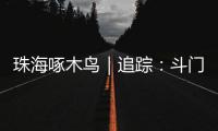 珠海啄木鸟｜追踪：斗门区乾务片区排水管建设工程 项目缺口资金已到位 力争今年年底完工