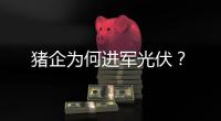 猪企为何进军光伏
？