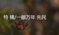 特 稿/一眼万年 先民创造力生生不息