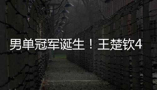 男单前面获得一冠一亚