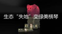 生态“失地”变绿美横琴	，历经15年这里成为生态新家园