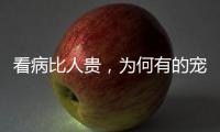 看病比人贵
，为何有的宠物医院却赚钱难？