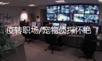 疫转职场/宠物侦探怀绝技 寻找“毛孩”无难度