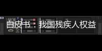 白皮书：我国残疾人权益保障更加有力