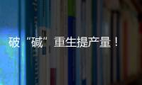 破“碱”重生提产量	！ 珠海盐碱地变“丰产田”