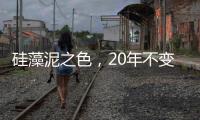 硅藻泥之色，20年不变心