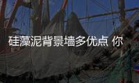 硅藻泥背景墙多优点 你能不喜欢吗?