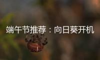 端午节推荐	：向日葵开机插座	，定时能远程开关机
