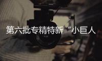第六批专精特新“小巨人”企业培育启动