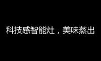 科技感智能灶，美味蒸出来，健康看得见?