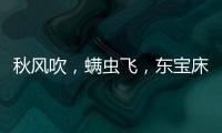 快排公司十年历程，霸屏兔 seo 的崛起与坚守