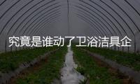 究竟是谁动了卫浴洁具企业奶酪?
