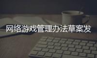 网络游戏管理办法草案发布
，业内最关注“用户充值限额”
