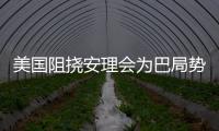 美国阻挠安理会为巴局势发声 华春莹：美方这么做有何目的？
