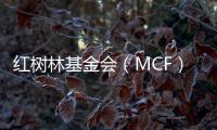 红树林基金会（MCF）温家怡：善因营销可有效促进公益品牌建设