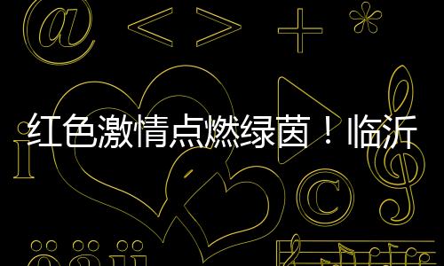 绿茵临沂临沂市体育总会主办