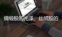 绸缎般的光泽、丝绒般的质感——天鹅绒