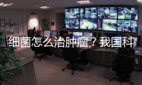细菌怎么治肿瘤？我国科学家首次揭示关键原理