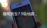 快排公司十年历程，霸屏兔 seo 的崛起与坚守