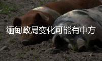 缅甸政局变化可能有中方暗中支持？中方	：有关说法不是事实