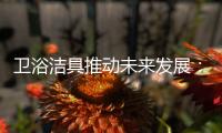 卫浴洁具推动未来发展
：创新、进军高端卫浴市场!