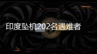 印度坠机202名遇难者身份已确认