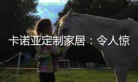 卡诺亚定制家居
：令人惊艳的玄关 是家的起点