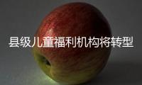县级儿童福利机构将转型！未来工作重点在哪里
？