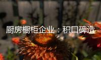 厨房橱柜企业
：积口碑造精品 重营销讲服务